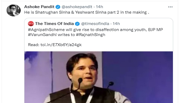 'ये तो शत्रुघ्न सिन्हा और यशवंत सिन्हा पार्ट 2 बन गए हैं...'