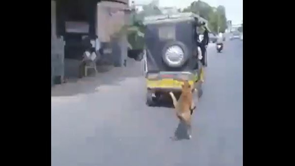 फिर परिवार ने ई-रिक्शा में उसे बैठाया