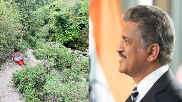 ये मेरी संडे मोटिवेशन: आनंद महिंद्रा
