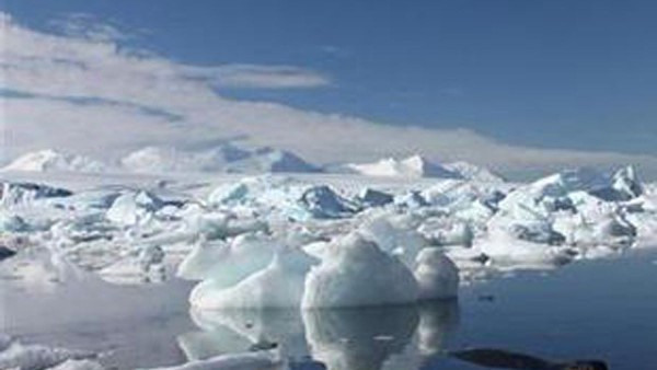 कैमरे के पास कूदने लगे कैमरे के पास कूदने लगे