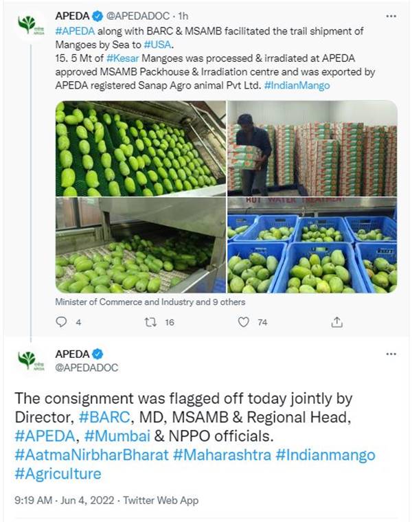 kesar export kesar export