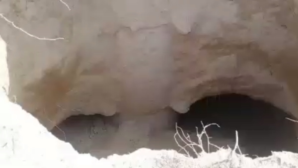 सब्जियों को पानी पिलाने के बाद अपने घर गया