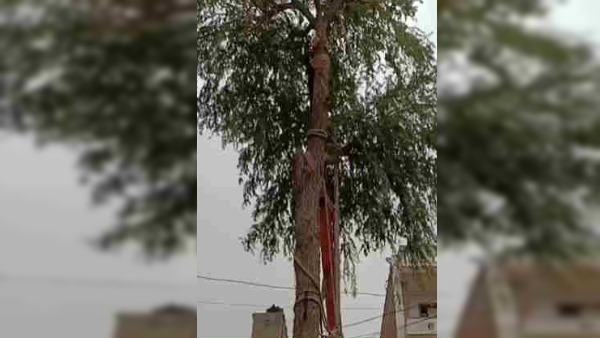  मंदिर का शिलान्यास 11 जून को हुआ 