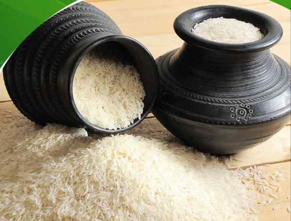 ऐसे करें कीड़े मकोड़ों का सामना