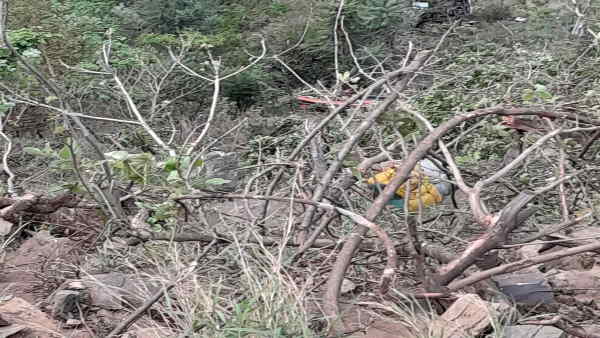लगातार तीसरी ट्रिप पर थी बस लगातार तीसरी ट्रिप पर थी बस