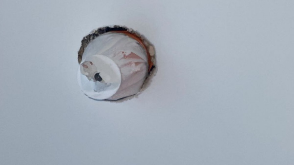 महिला ने ट्विटर पर शेयर की तस्वीरें