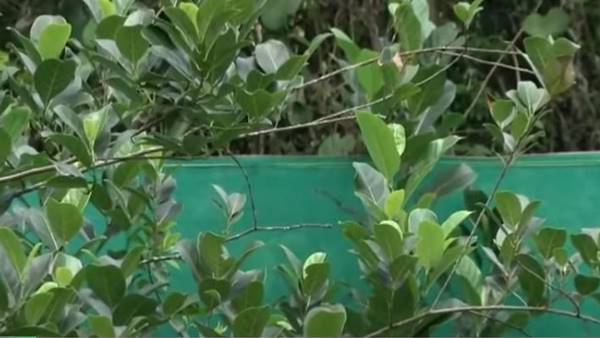 प्रकाश के काम से किसानों को मिली प्रेरणा