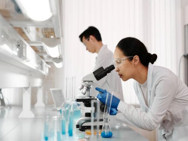 जीरो कोलेस्ट्रॉल जामुन