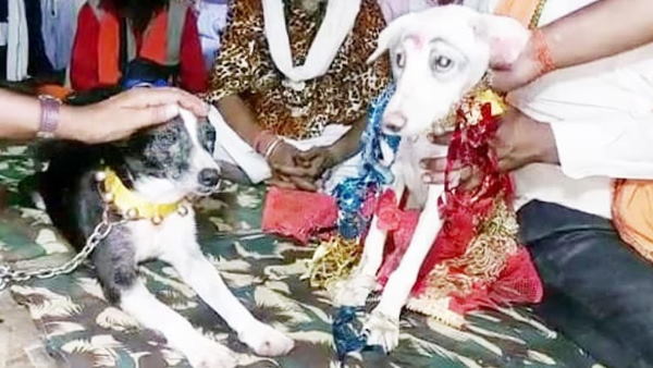 शादी का कार्ड छपवाकर लोगों को किया आमंत्रित