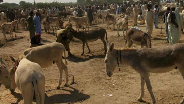 क्या है खासियत?