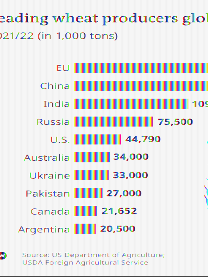 ये हैं दुनिया के प्रमुख गेहूं उत्पादक