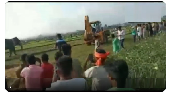 पहले भी बचाया गया हाथी
