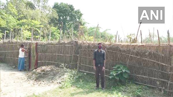 इन राज्यों में पान की खेती