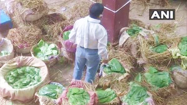 पान में कई औषधीय गुण