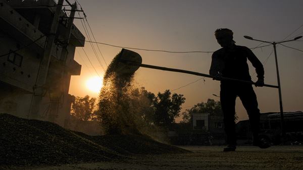 खाद्य आपूर्ति के लिए भारत पर निर्भरता
