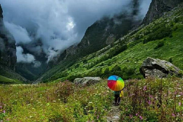 यहां हैं 5 हजार फूलों की प्रजातियां