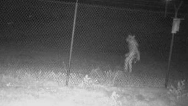 फोटो आई सामने