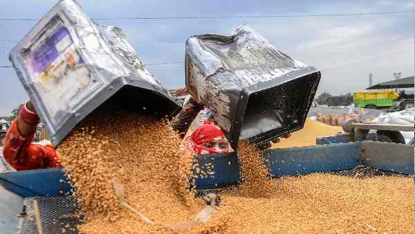 2 करोड़ टन अनाज यूक्रेन के गोदामों में पड़े हैं