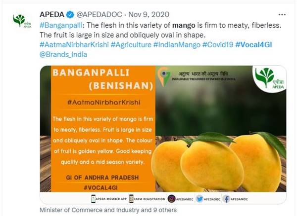 आंध्र प्रदेश का बेगनपल्ले आम