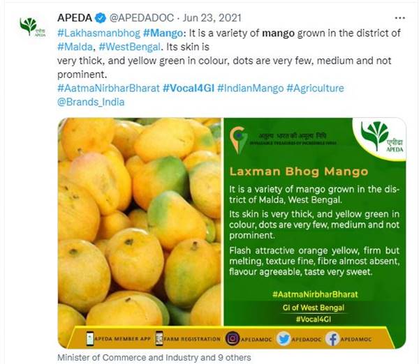 मालदा का लक्ष्मण भोग आम