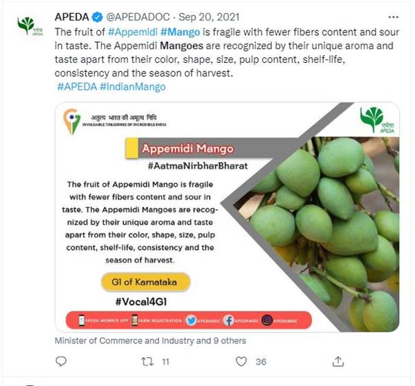 कर्नाटक का अप्पेमिडी मैंगो