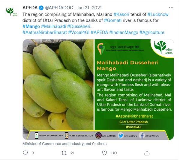 उत्तर प्रदेश के दो आमों को जीआई टैग