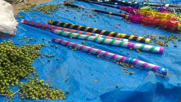 बांस की बंदूक से दी जाती है सलामी बांस की बंदूक से दी जाती है सलामी