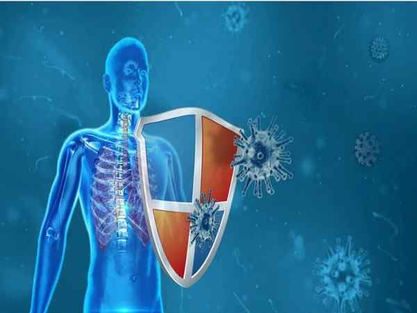 जामुन रोग प्रतिरोधक क्षमता बढ़ाता है