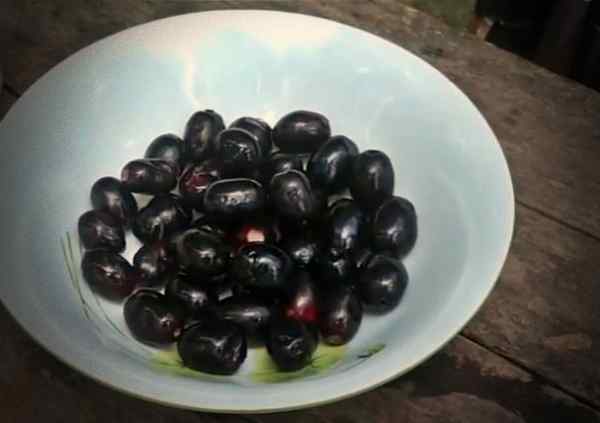 घाव भरने में मदद मिलती है