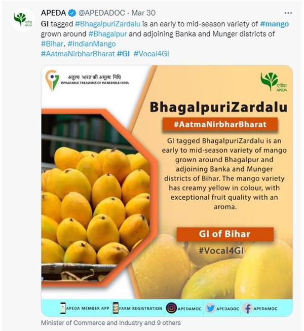 बिहार का जर्दालु आम जीआई टैग के साथ