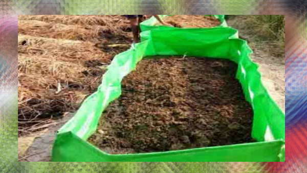 जैविक खाद का हो रहा इस्तेमाल 