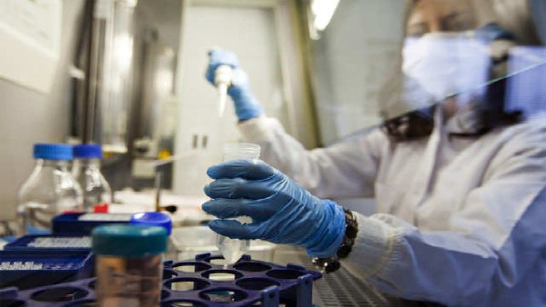 चूहों के शरीर में पहुंचाया गया नया खून