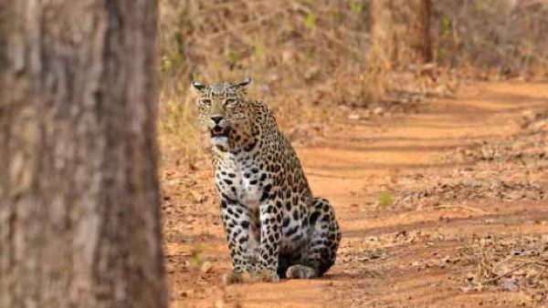 बच्चों को डिहाइड्रेशन की समस्या 