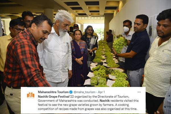 nashik grape festival