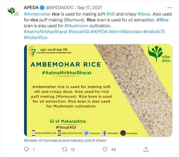 इडली और क्रिस्पी डोसा बनाने वाला चावल 