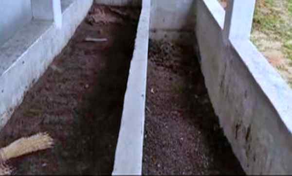 जैविक कचरे का उपयोग जैविक कचरे का उपयोग