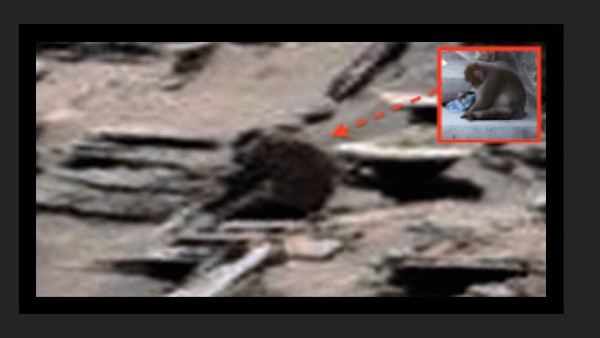 वैज्ञानिक नहीं दे रहे ध्यान? वैज्ञानिक नहीं दे रहे ध्यान?