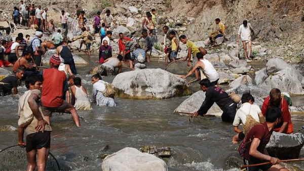 पर्यावरण संरक्षण का प्रतीक है मेला