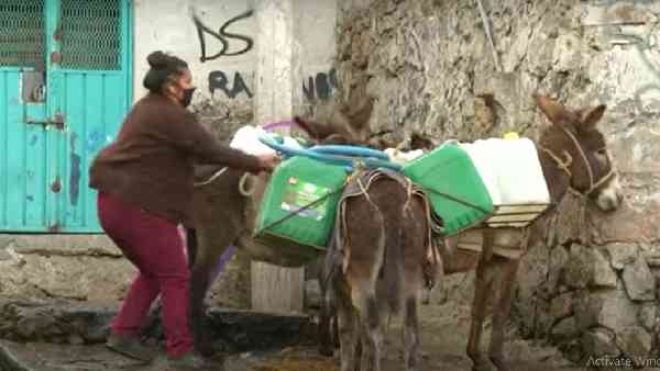 दुनिया के लिए बहुत बड़ी चेतावनी