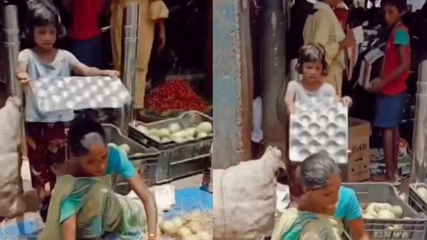 वीडियो ने जीता यूजर्स का दिल