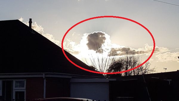 'नानी ने की संपर्क करने की कोशिश'