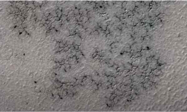  Mars की सतह पर पॉलिगन शेप, MRO ने लीं तस्वीरें