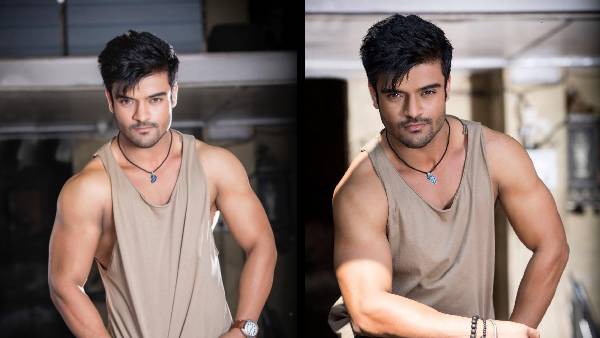 इन हिंदी फिल्मों में कर चुके हैं काम