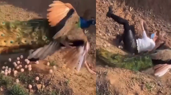 लोग कह रहे हैं लड़की को अच्‍छा सबक सिखाया।