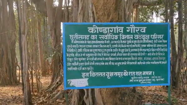 200 साल पुराना वटवृक्ष 