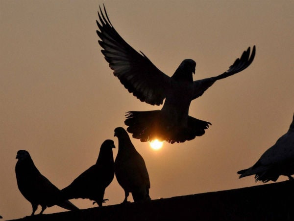 अगले 5 दिनों के दौरान यहां हो सकती है बारिश 