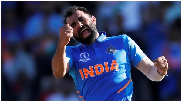 लग्जरी कारों के शौकिन हैं शमी 