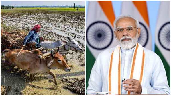 केंद्र सरकार की किसान हितैषी