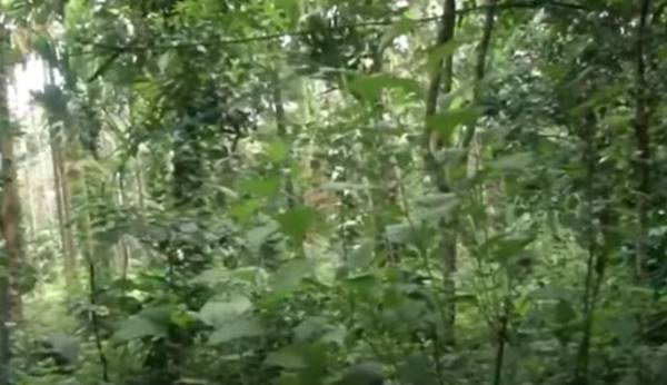 13 साल से दिए जा रहे अवॉर्ड