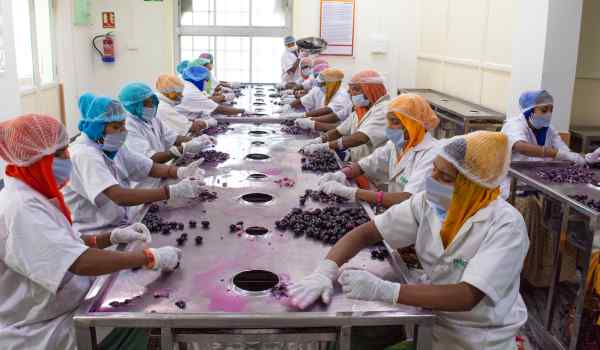 जामुन से महिलाओं को फायदा जामुन से महिलाओं को फायदा